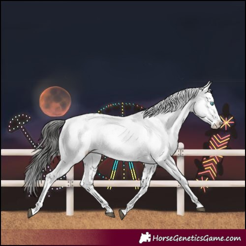 Horse Color:Liver Chestnut Frame 
