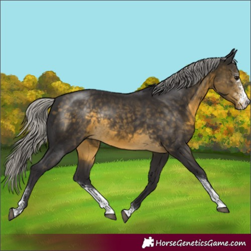Horse Color:Silver Buckskin Sabino Rabicano 
