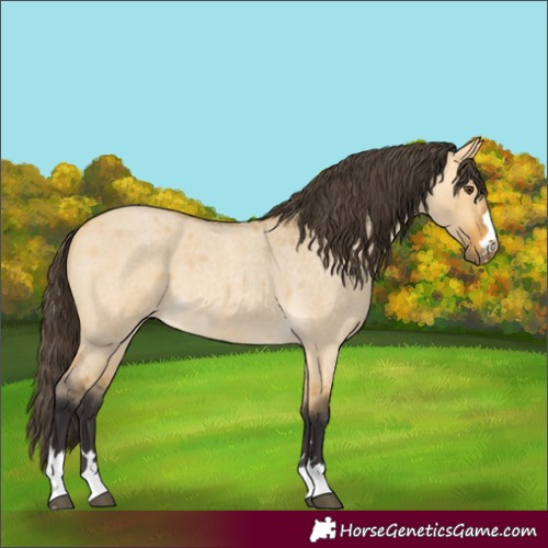 Horse Color:Unknown 