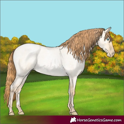Horse Color:White Spotted Buckskin Roan Pearl Dun Rabicano