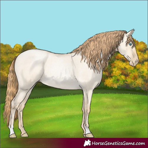 Horse Color:Smoky Grullo Roan Pearl 