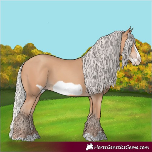 Horse Color:Silver Amber Champagne Frame 