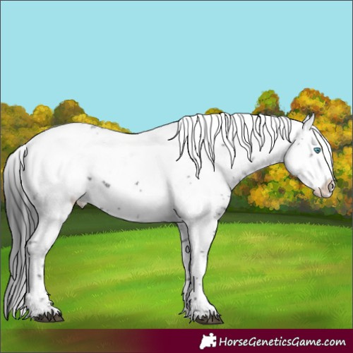 Horse Color:Black Frame