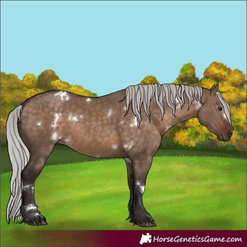 Horse Color:White Spotted Silver Brown Dun Rabicano 