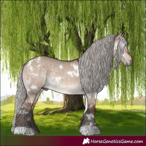 Horse Color:White Spotted Silver Brown Dun Rabicano 