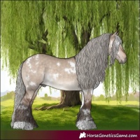 Horse Color:White Spotted Silver Brown Dun Rabicano