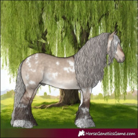 Horse Color:White Spotted Silver Brown Dun Rabicano 