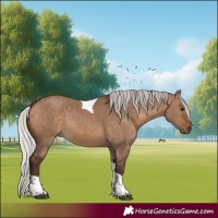 Horse Color:Silver Brown Dun Tobiano 