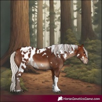 Horse Color:White Spotted Silver Brown Tobiano Skewed Appaloosa 