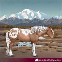 Horse Color:Silver Brown Pearl Tobiano Appaloosa Rabicano