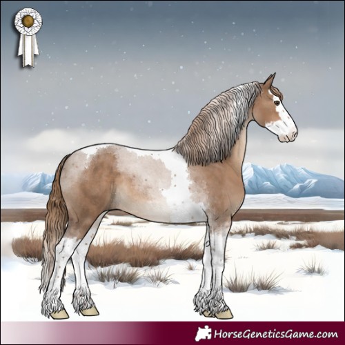 Horse Color:Liver Red Dun Splash Tobiano 