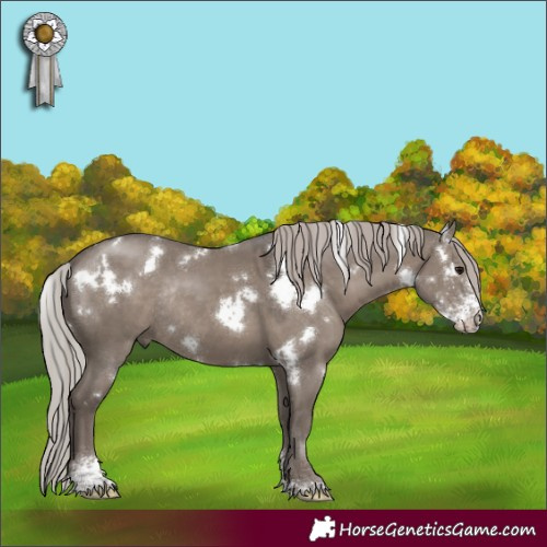 Horse Color:White Spotted Silver Grullo Sabino Rabicano