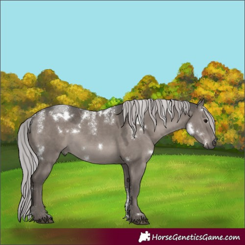 Horse Color:Powder White Platinum White Spotted Silver Grullo 