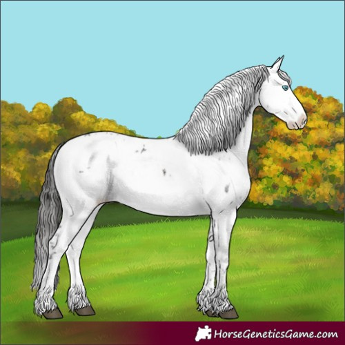 Horse Color:Liver Chestnut Frame 