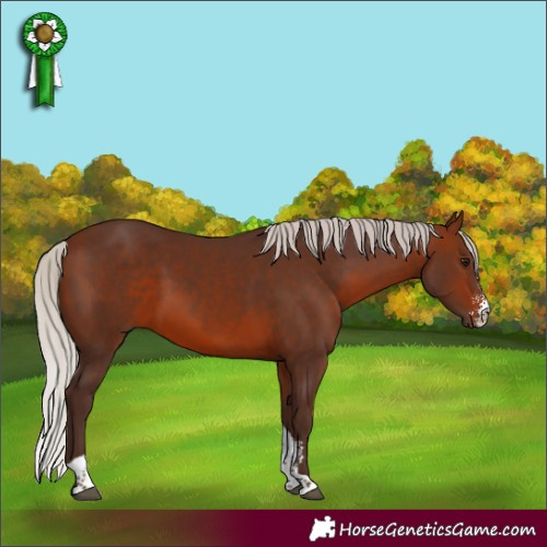 Horse Color:Silver Brown Sabino Tobiano