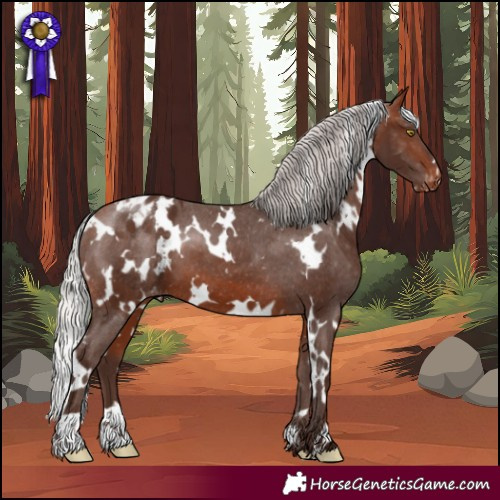 Horse Color:White Spotted Silver Bay Blanket 
