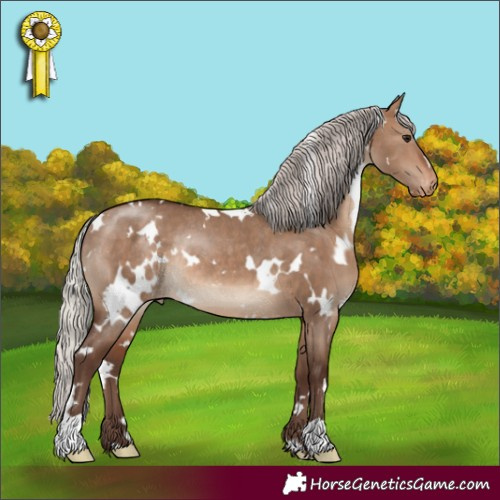 Horse Color:White Spotted Silver Brown Dun Appaloosa Rabicano
