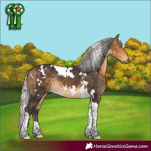 Horse Color:White Spotted Silver Buckskin Tobiano Rabicano