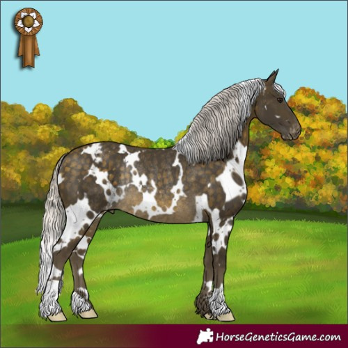 Horse Color:White Spotted Silver Buckskin Appaloosa Rabicano 