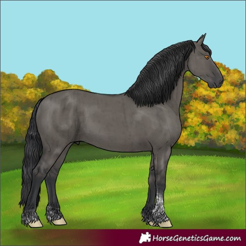 Horse Color:Grullo Tobiano Rabicano Brindle