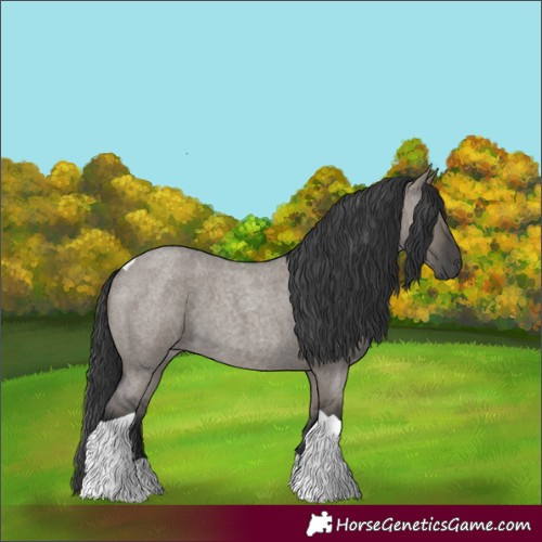 Horse Color:Grullo Roan Tobiano 