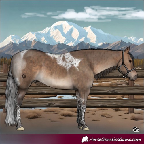 Horse Color:Brown Dun Tobiano Brindle 