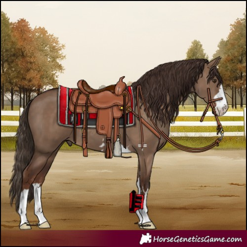 Horse Color:Liver Red Dun 
