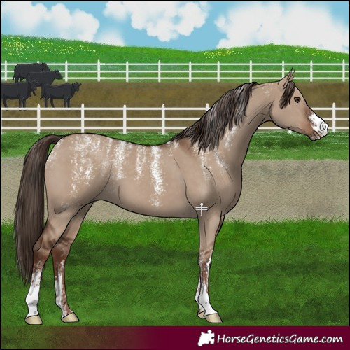 Horse Color:Powder White Liver Red Dun 