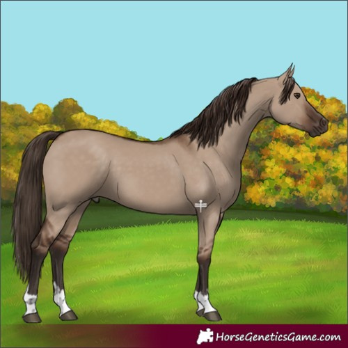 Horse Color:Liver Red Dun 