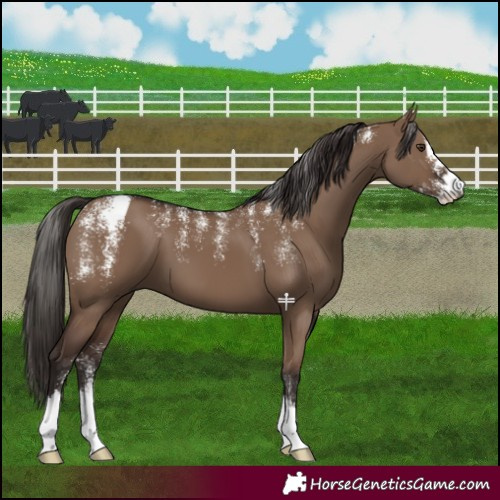 Horse Color:Powder White Liver Red Dun 