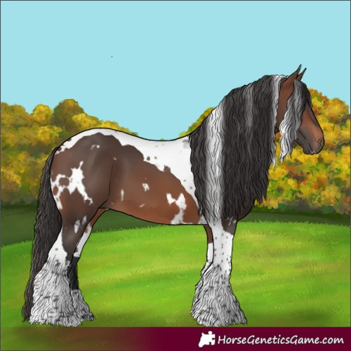 Horse Color:White Spotted Brown Tobiano 