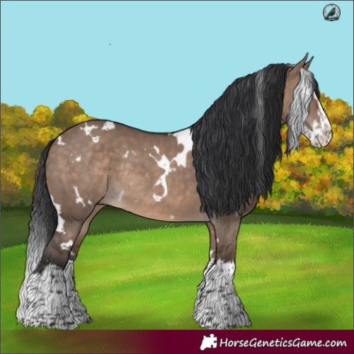 Horse Color:White Spotted Brown Dun Splash Rabicano 