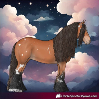 Horse Color:White Spotted Bay 