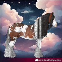 Horse Color:White Spotted Bay Splash Rabicano
