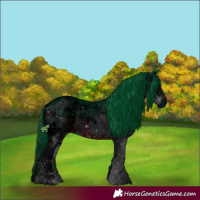 Horse Color:ERROR: UNKNOWN ANOMALY