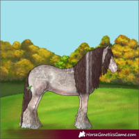 Horse Color:White Spotted Chocolate Blue Onyx Ice Sabino