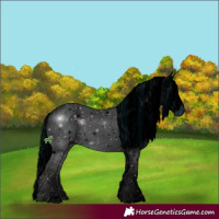 Horse Color:ERROR: UNKNOWN ANOMALY