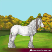 Horse Color:Chocolate Brown Ice Onyx Mushroom Sabino Splash 