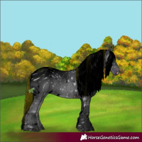 Horse Color:ERROR: UNKNOWN ANOMALY