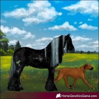 Horse Color:ERROR: UNKNOWN ANOMALY