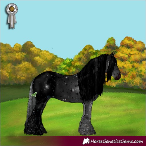 Horse Color:ERROR: UNKNOWN ANOMALY