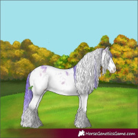 Horse Color:Watercolor White Spotted Chocolate Bay Ice Onyx Sabino Splash 