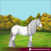 Horse Color:Chocolate Bay Ice Onyx Mushroom Sabino Splash 