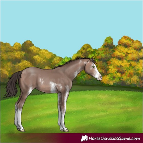 Horse Color:Sable Champagne Mushroom Sabino