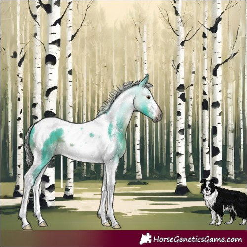 Horse Color:Gray Watercolor Silver Brown Mushroom Sabino Tobiano 