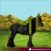 Horse Color:ERROR: UNKNOWN ANOMALY