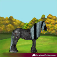 Horse Color:ERROR: UNKNOWN ANOMALY