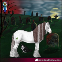 Horse Color:Chocolate Bay Ice Onyx Mushroom Sabino Splash Brindle 