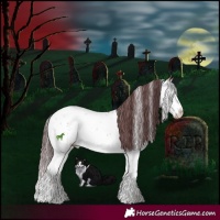 Horse Color:Chocolate Bay Ice Onyx Mushroom Sabino Splash Brindle