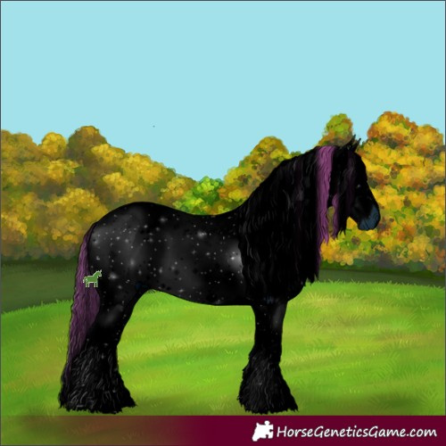 Horse Color:ERROR: UNKNOWN ANOMALY